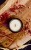 IMG_4359.jpeg