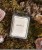 IMG_7696.jpeg