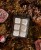 IMG_7701.jpeg