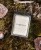 IMG_7704.jpeg