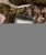 IMG_7708.jpeg