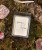 IMG_7728.jpeg