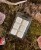 IMG_7743.jpeg