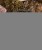 IMG_7752.jpeg